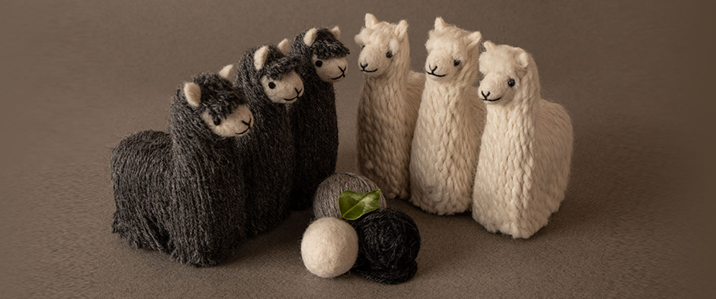 4 business opportunities with alpaca products in Benelux