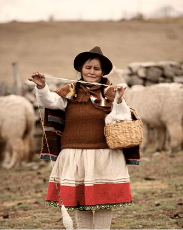 Alpaca del Perú