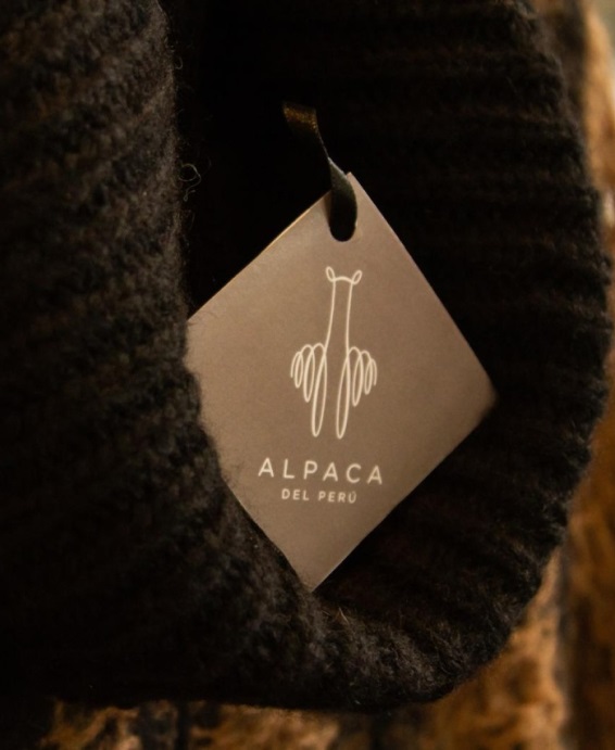 Fall in love with the Alpaca