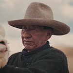 Alpaca del Perú